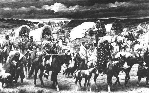 Indian Removal @