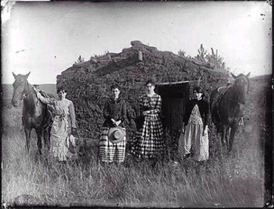 Gentleman Farmers On Te Plains