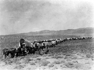 Wagon Train WSHS