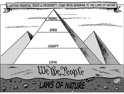 states vs federal rights political cartoon